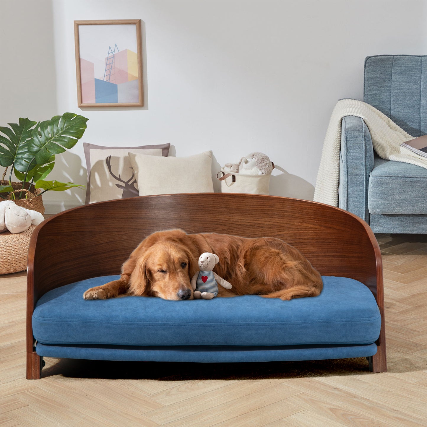 CHOTTO PET's - Mei Pet Sofa - Small Blue