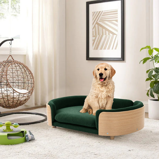 CHOTTO PET's - Fuwa Pet Sofa - Large Green